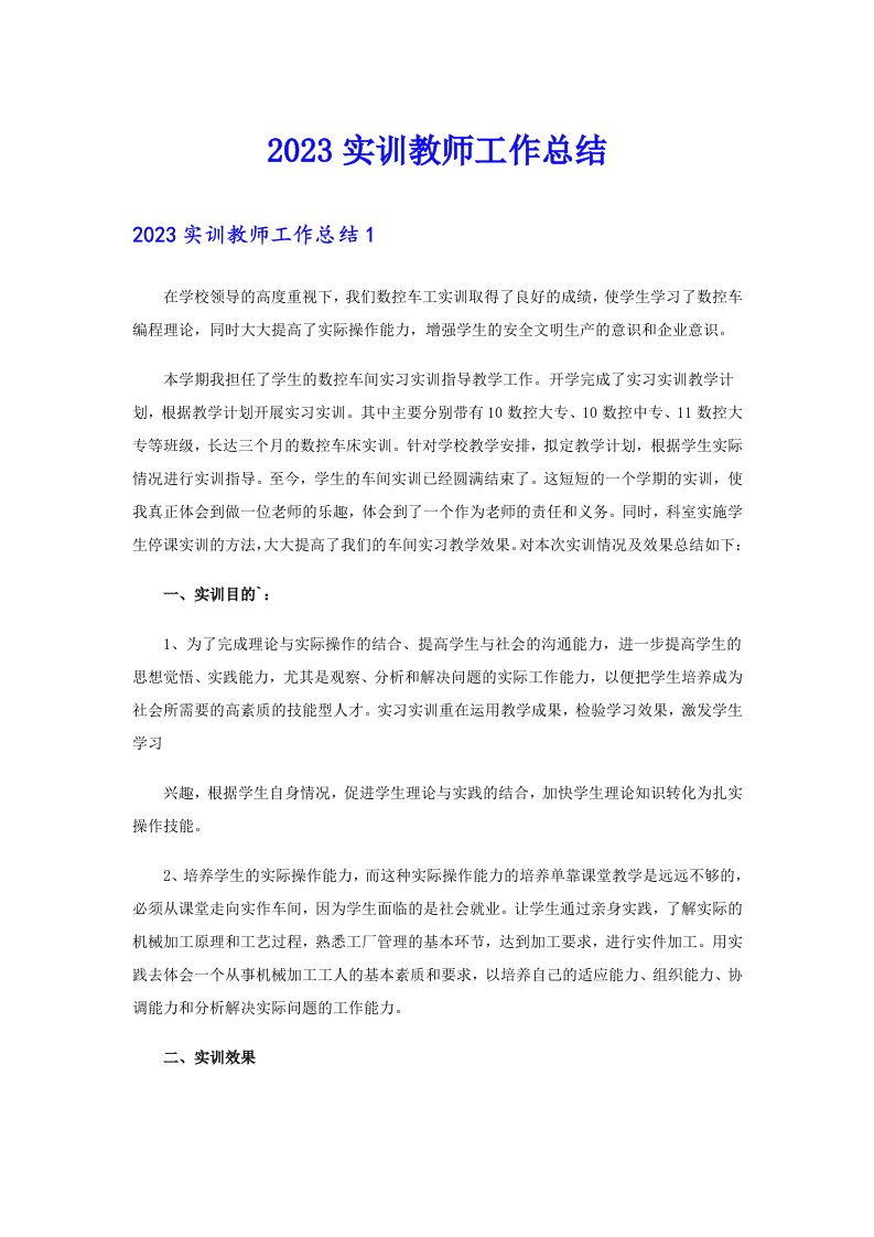 2023实训教师工作总结