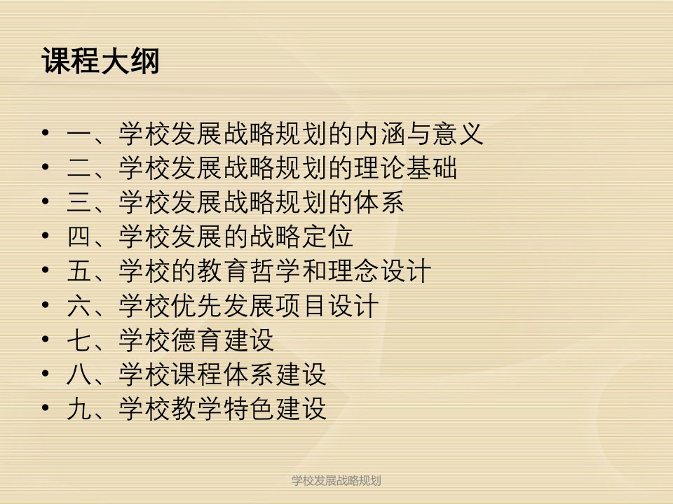 学校发展战略规划