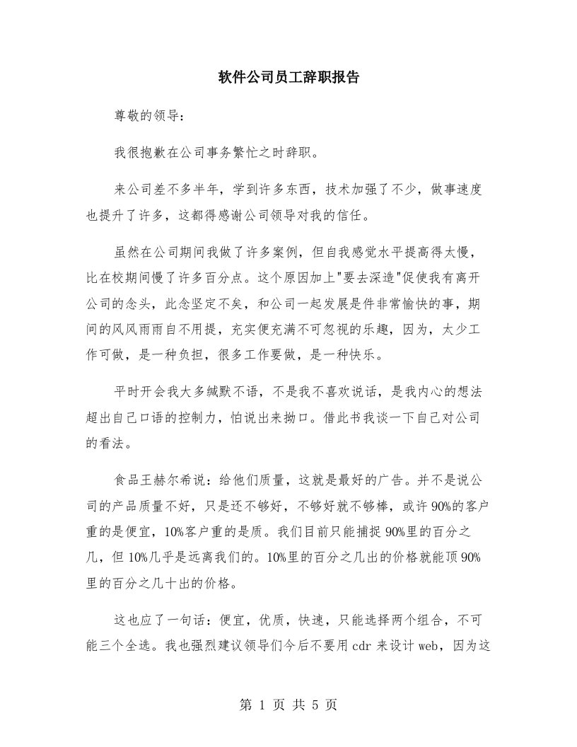 软件公司员工辞职报告