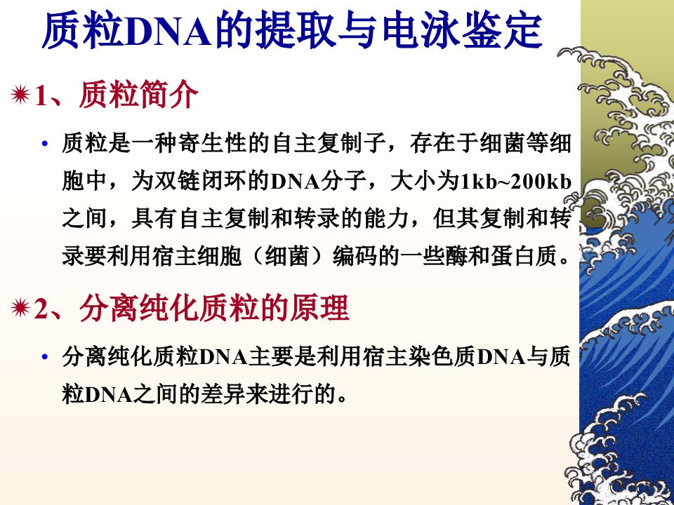 浙江大学生物化学实验甲质粒DNA的小批量提取与鉴定