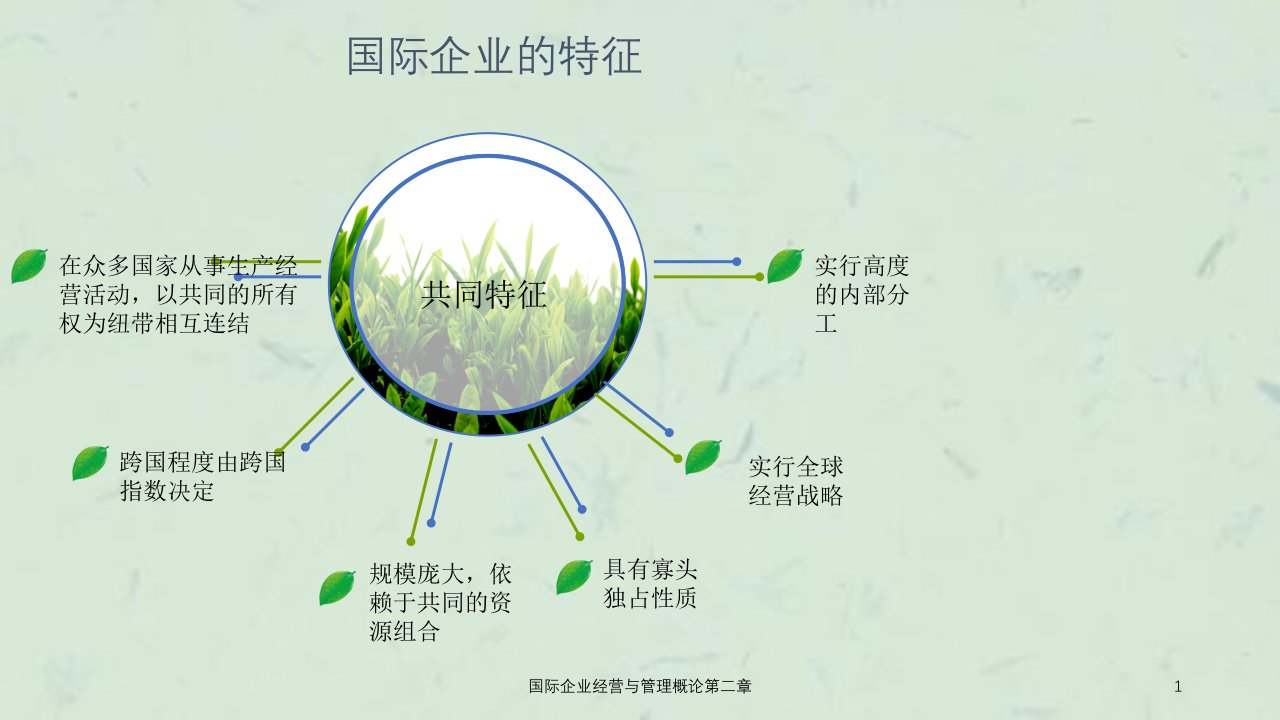 国际企业经营与管理概论第二章课件