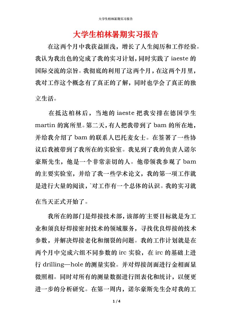 精编大学生柏林暑期实习报告