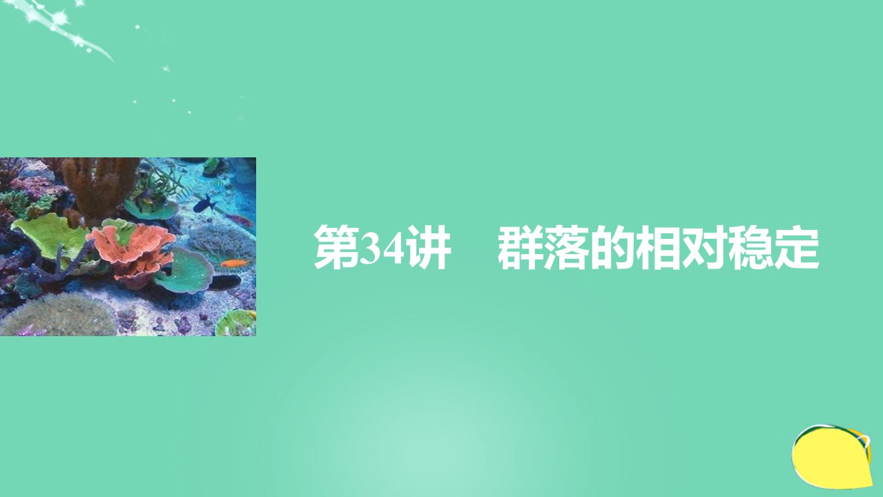 新高考生物一轮复习