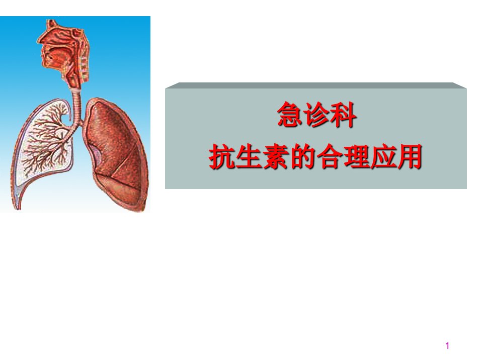 急诊科抗生素合理应用PPT课件