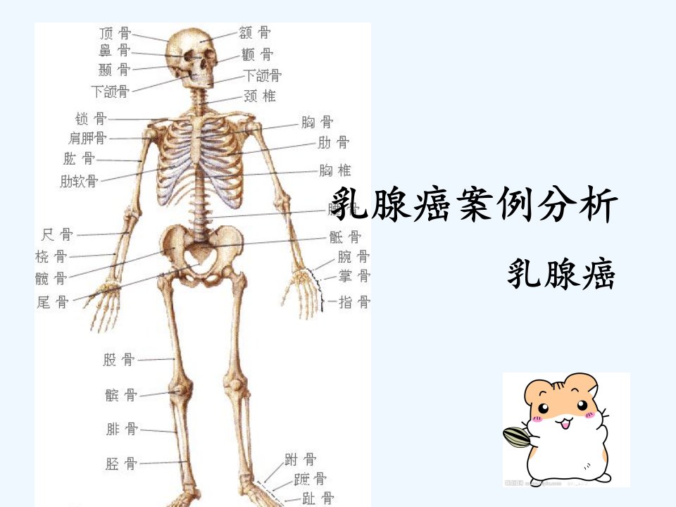 乳腺癌案例分析