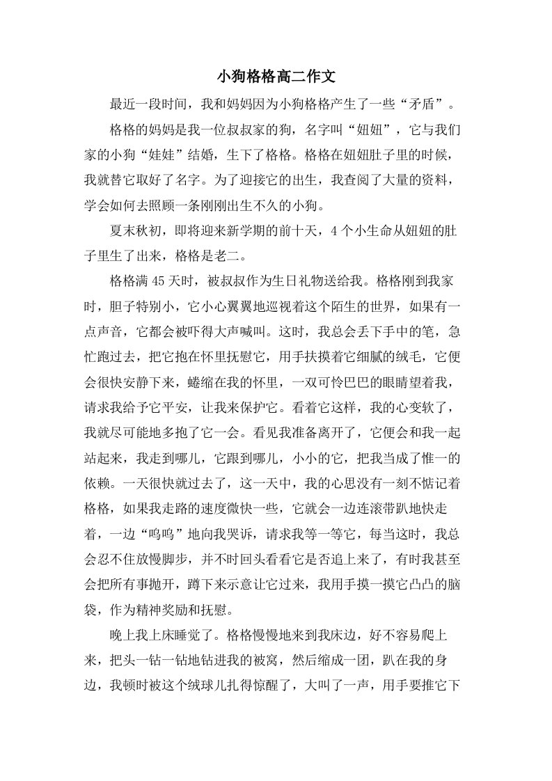 小狗格格高二作文