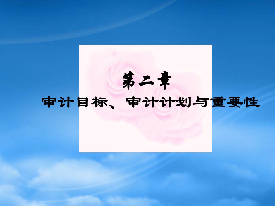 审计目标、审计计划与重要性