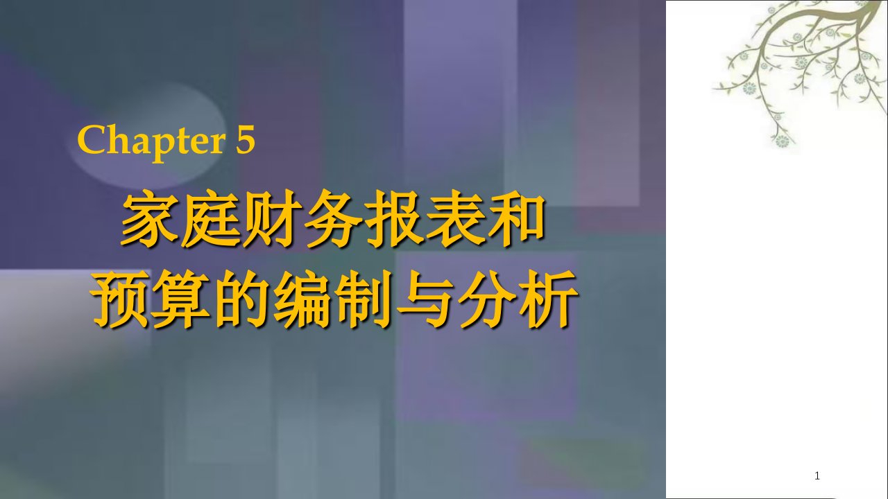 chpt051家庭财务报表和预算的编制与分析课件