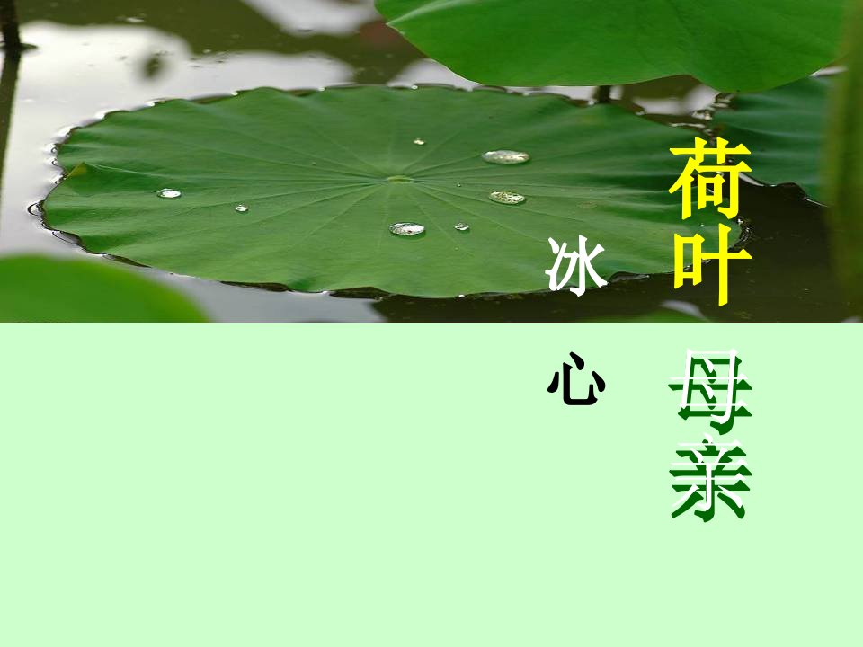 《荷叶红莲》