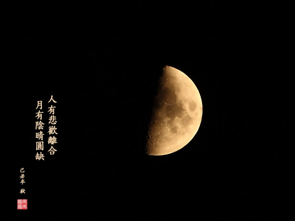 公开课及承天寺夜游