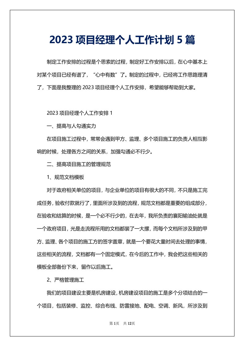 2023项目经理个人工作计划5篇