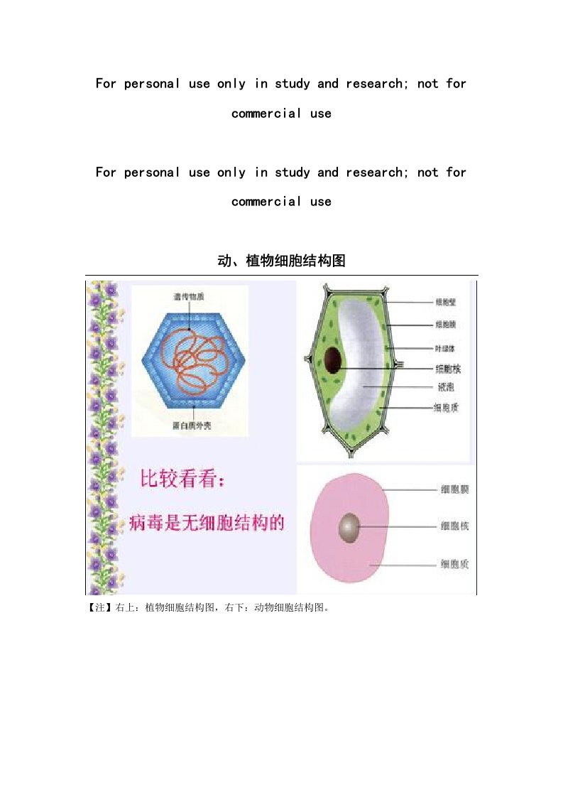 动、植物细胞结构图