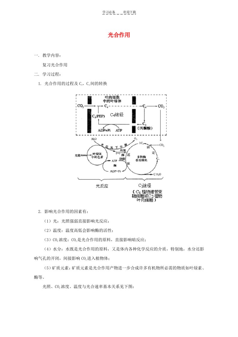 高三生物光合作用专题复习学案