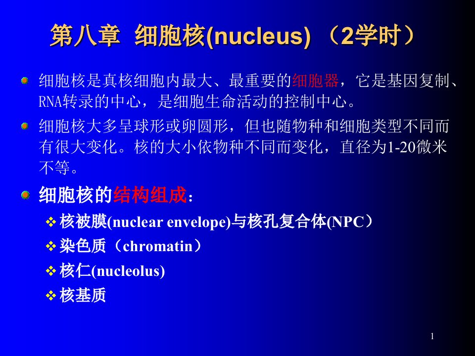 生物化学-细胞核主要版本