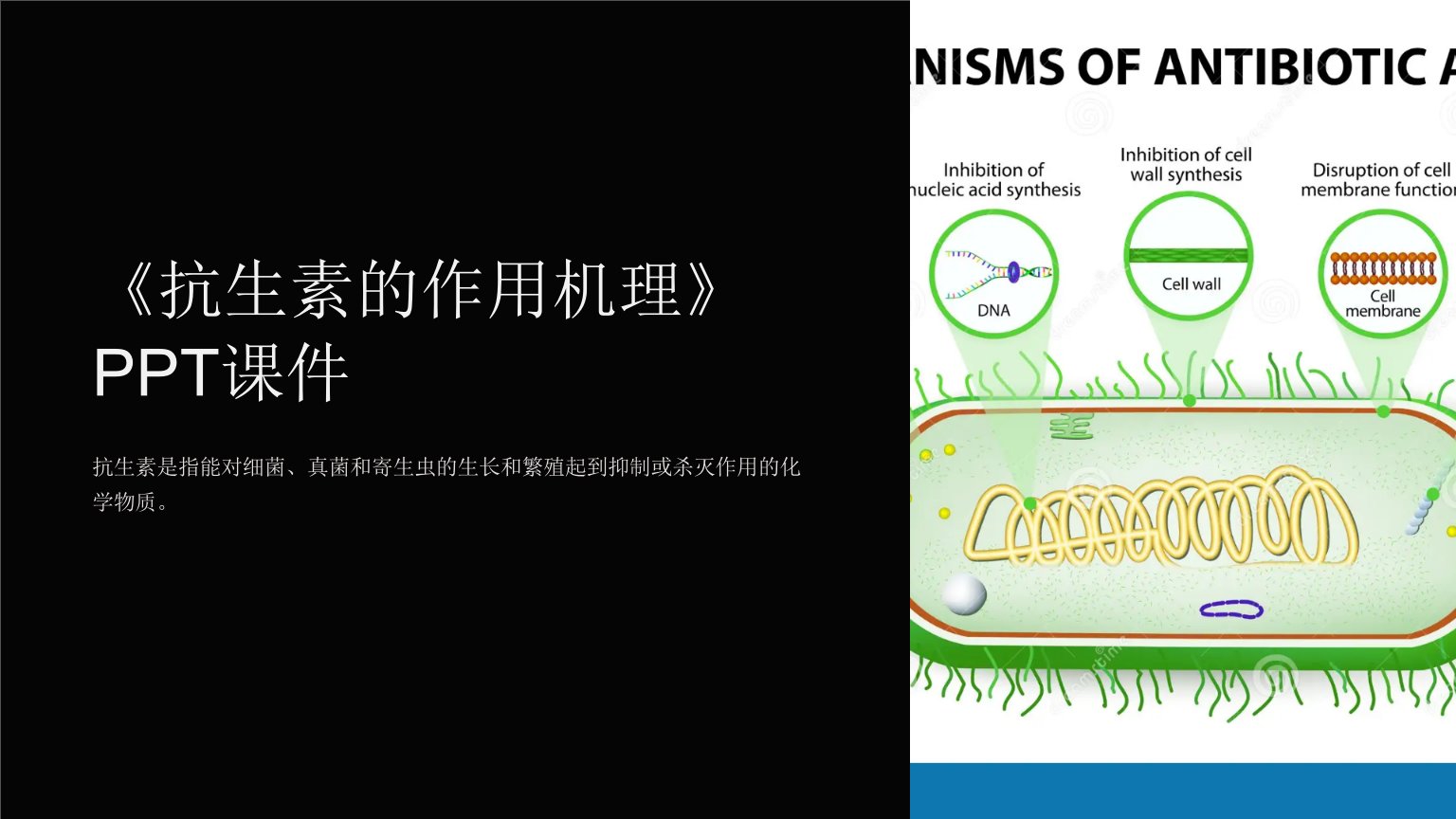 《抗生素的作用机理》课件