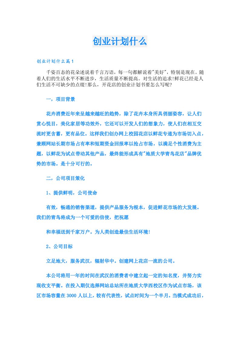 创业资料_创业计划什么