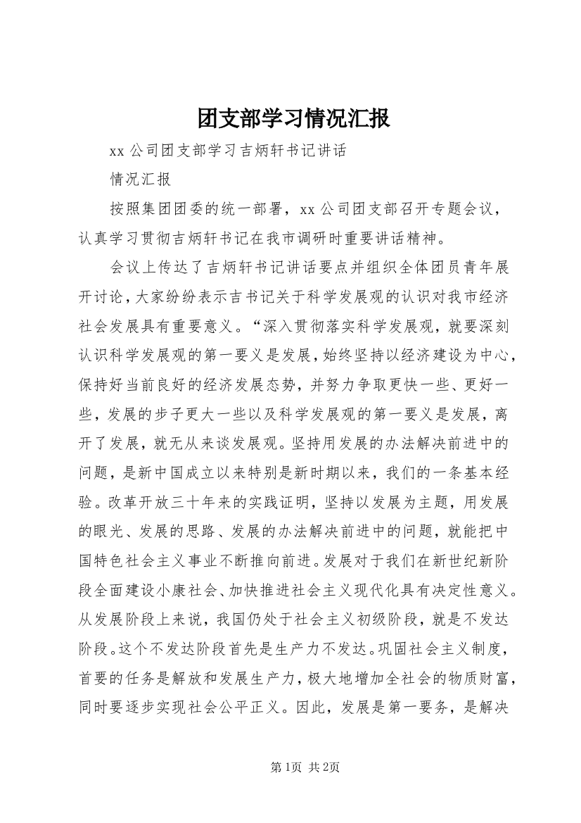 团支部学习情况汇报