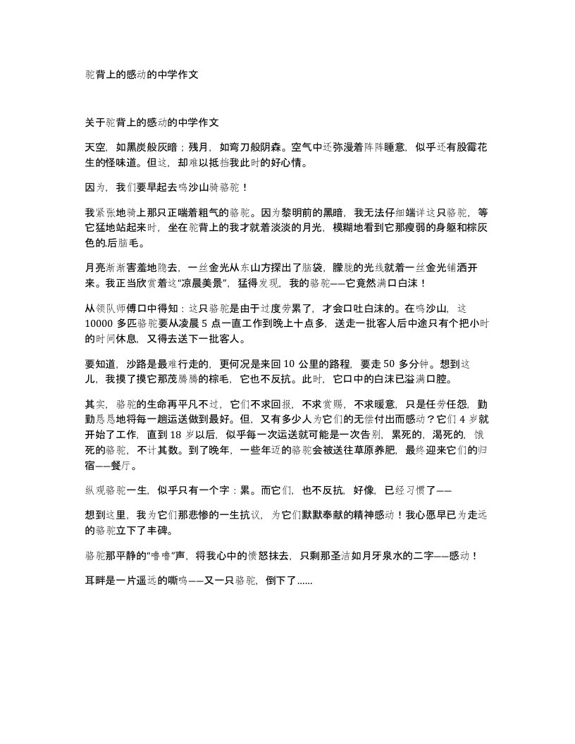 驼背上的感动的中学作文