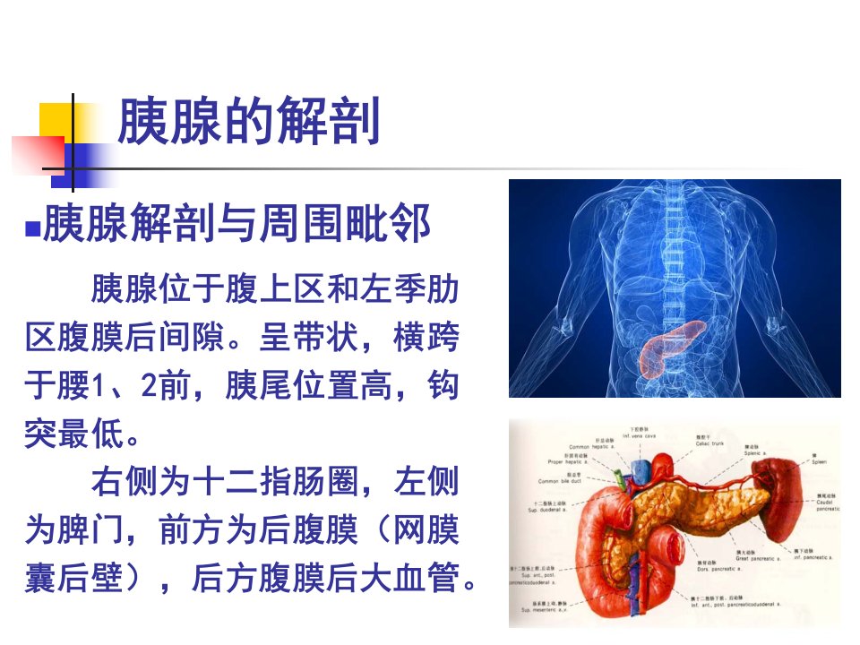 胰腺癌的影像学表现ppt课件