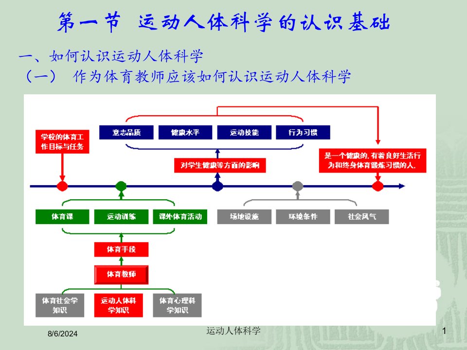 2021年运动人体科学讲义