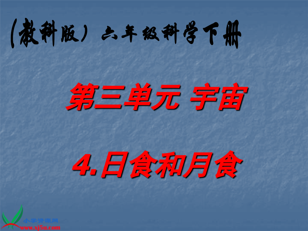 (教科版)六年级科学下册课件