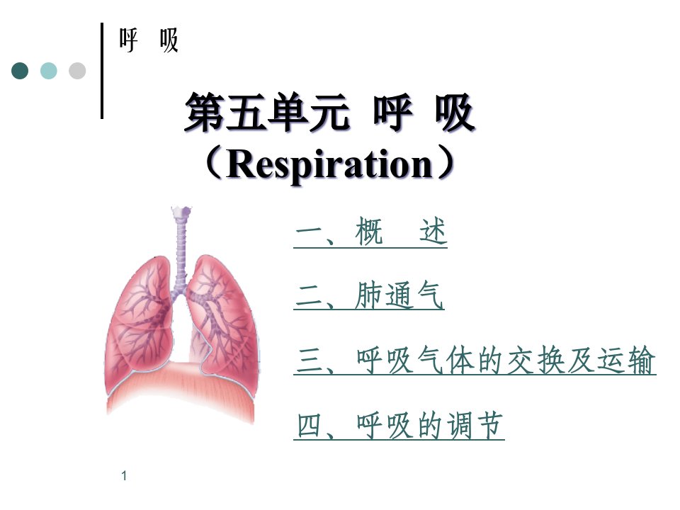 执业兽医资格考试生理学第五单元-呼吸系统课件