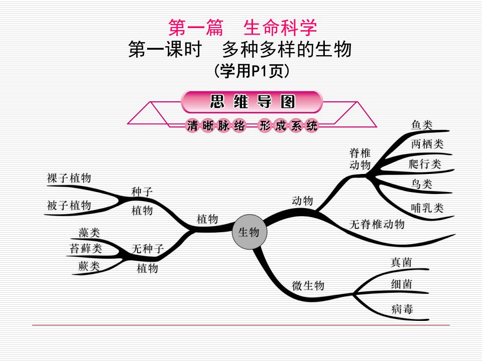 第1课时