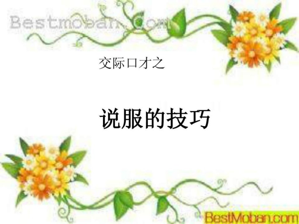 演讲与口才说服的技巧.ppt