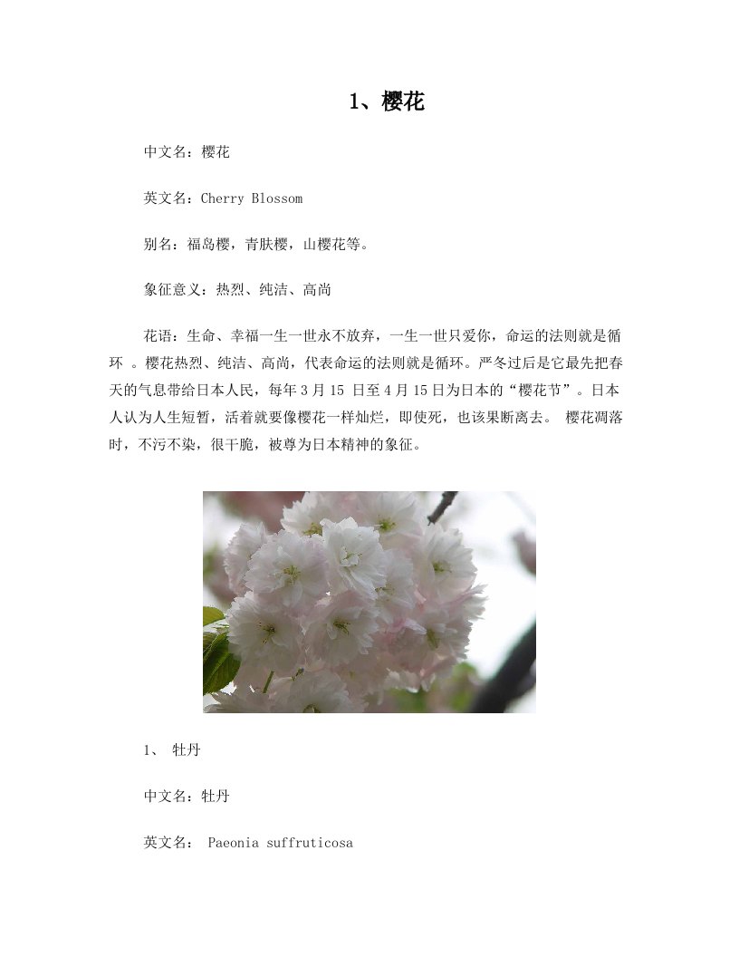 百花种类1