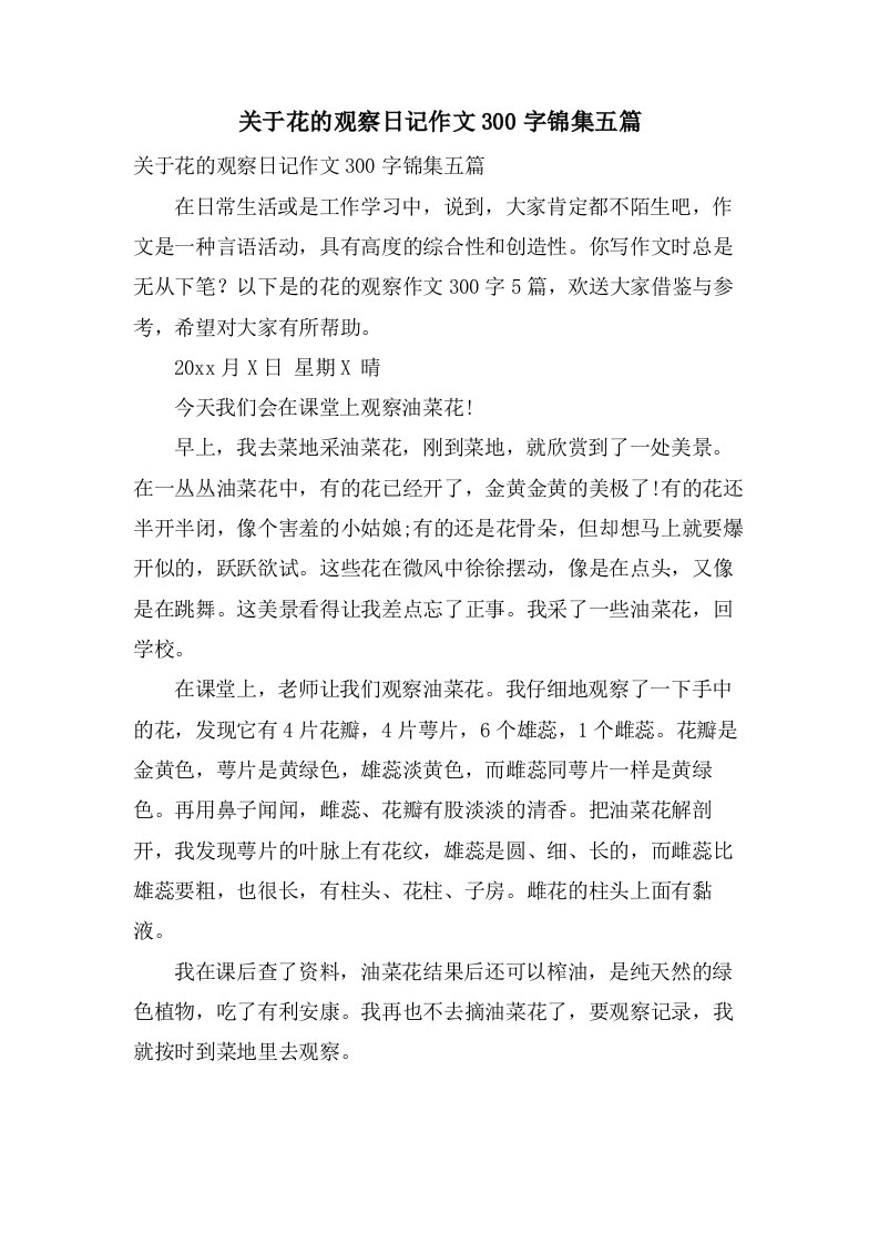 关于花的观察日记作文300字锦集五篇