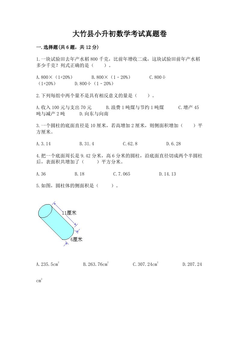 大竹县小升初数学考试真题卷及答案1套