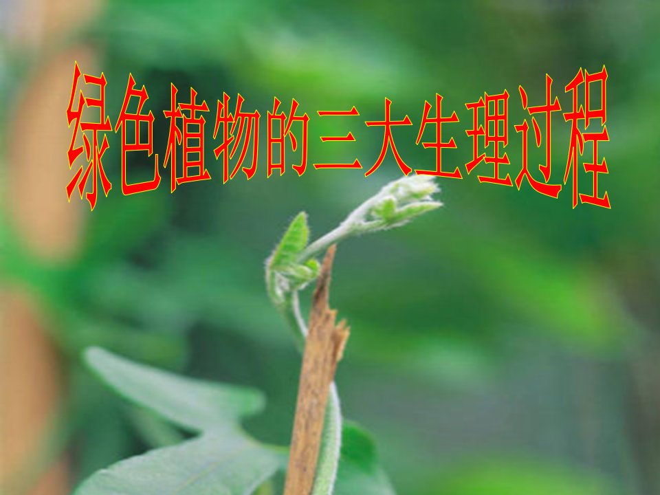 《三大生理过程》PPT课件