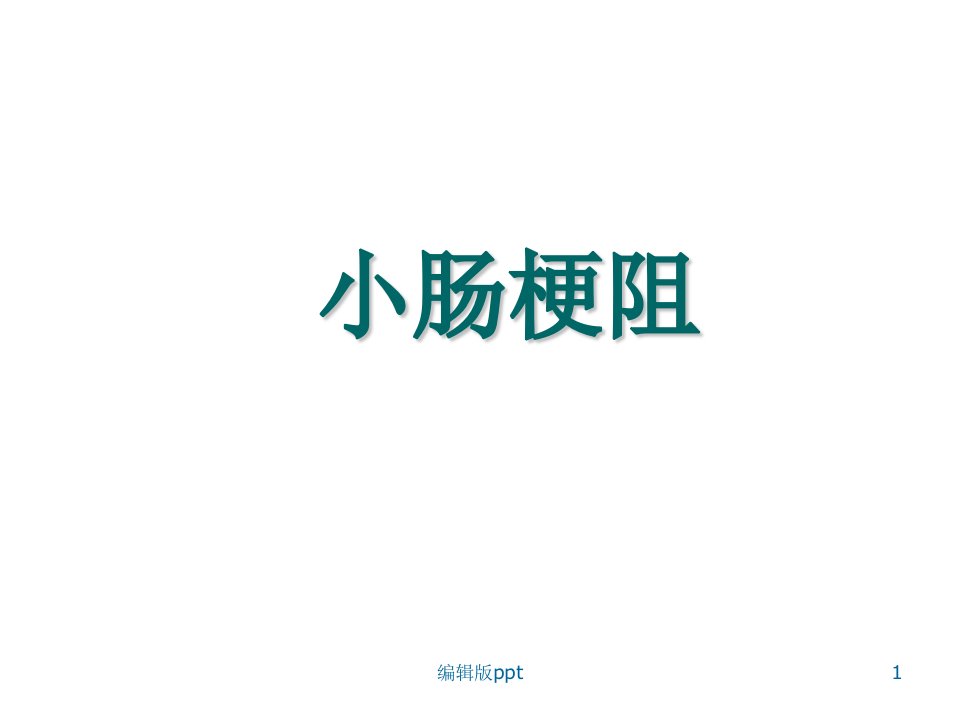 小肠梗阻PPT课件