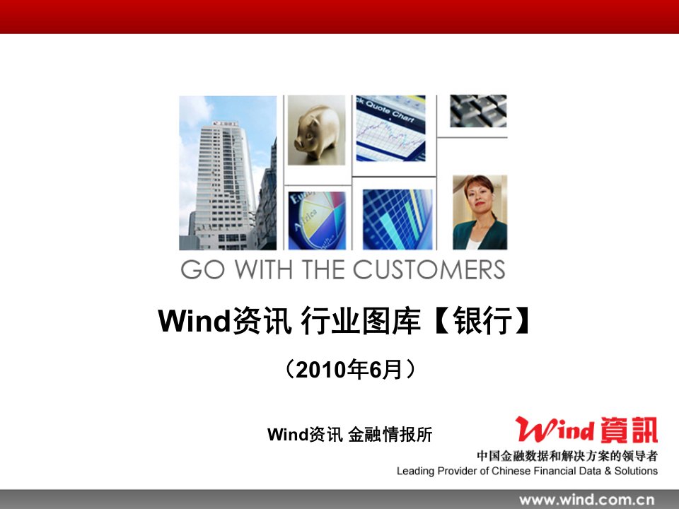 Wind资讯-2010年6月行业图库：银行