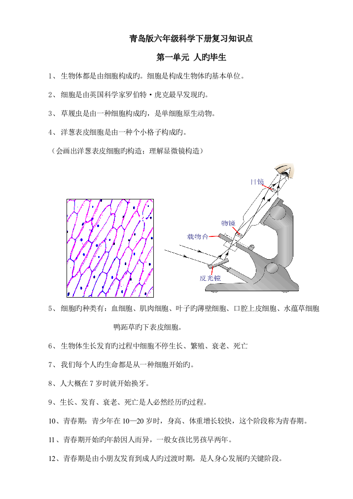 2023年青岛版六年级下册科学知识点总结