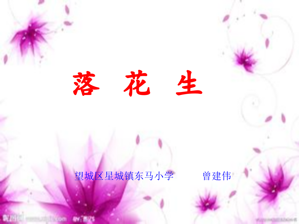 15《落花生-1》教学PPT