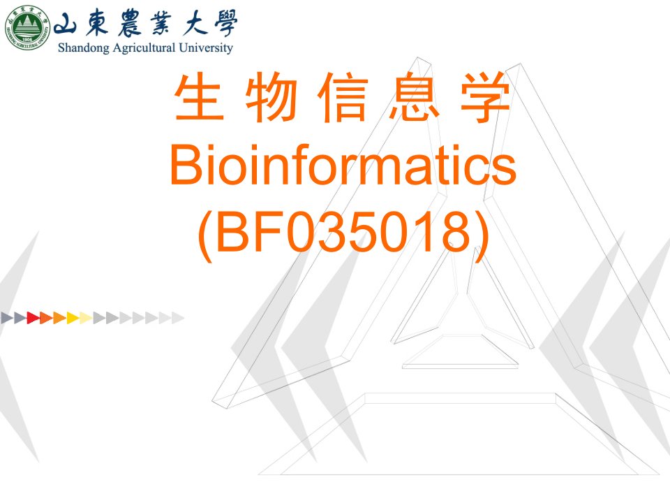 生物信息学概论