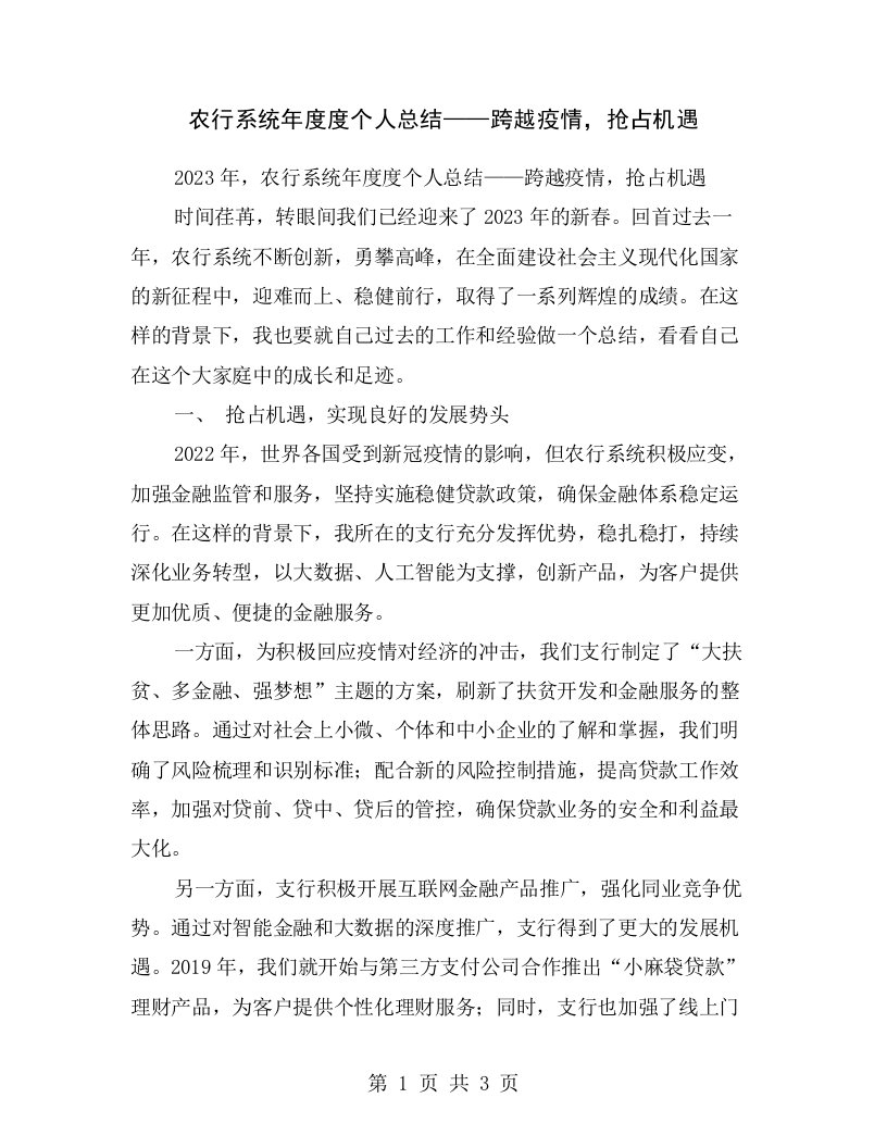 农行系统年度度个人总结——跨越疫情，抢占机遇