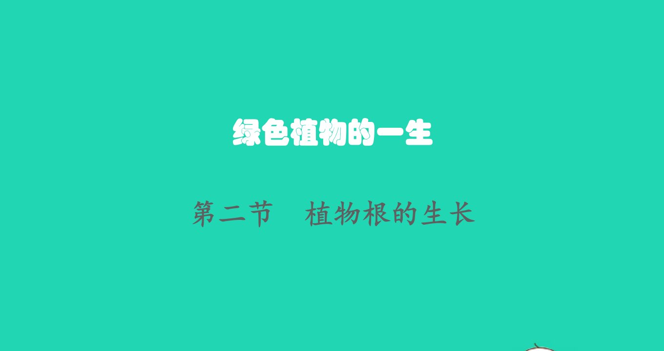 2022七年级生物上册第3单元生物圈中的绿色植物第5章绿色植物的一生第二节植物根的生长课件新版苏教版