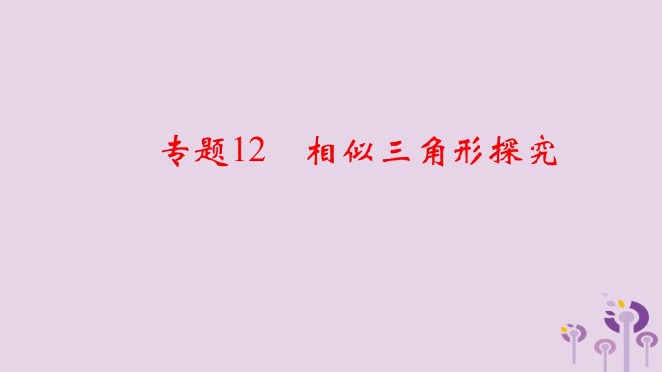 通用版中考数学二轮复习专题12相似三角形探究课件