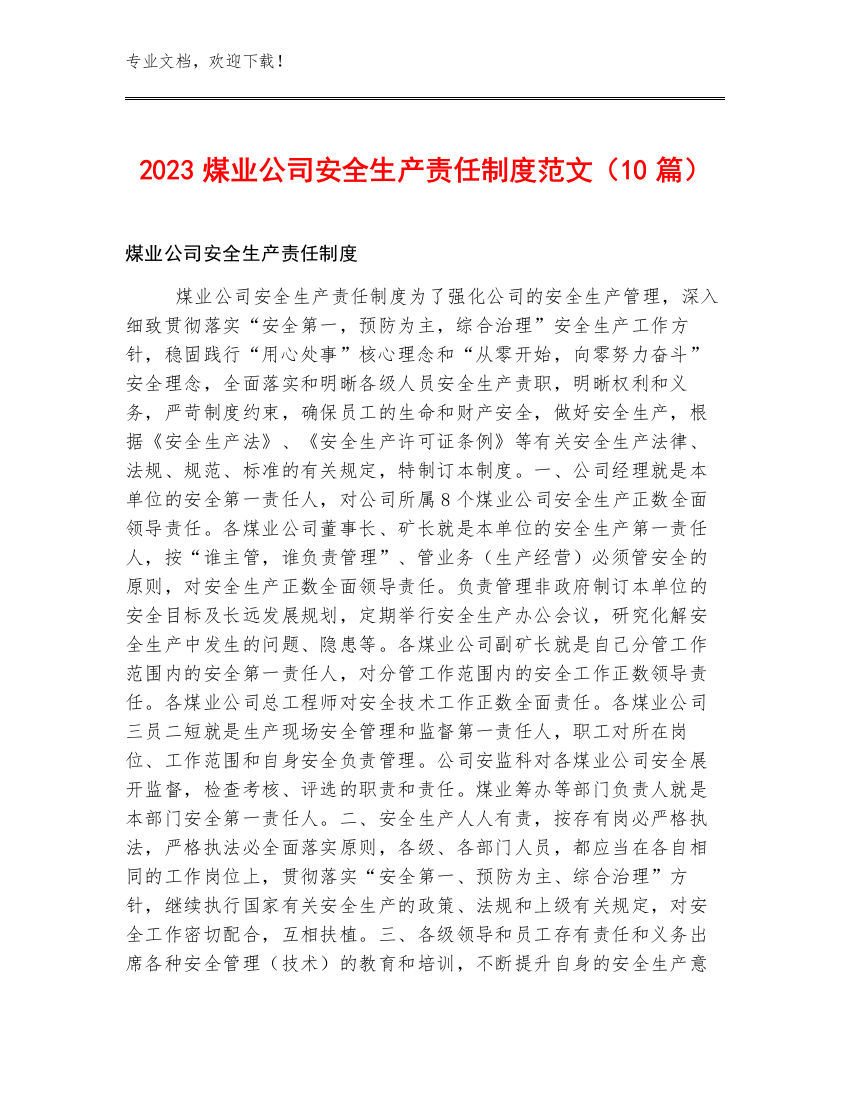 2023煤业公司安全生产责任制度范文（10篇）