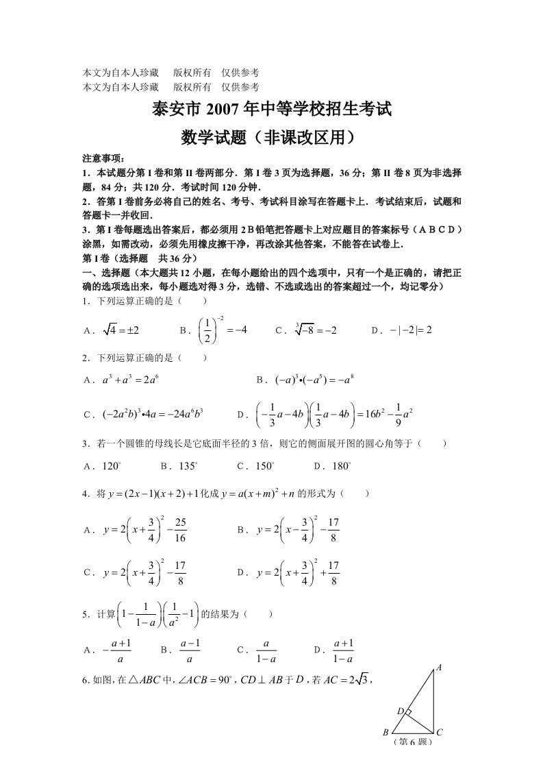 数学f1初中数学07山东泰安(非课改)