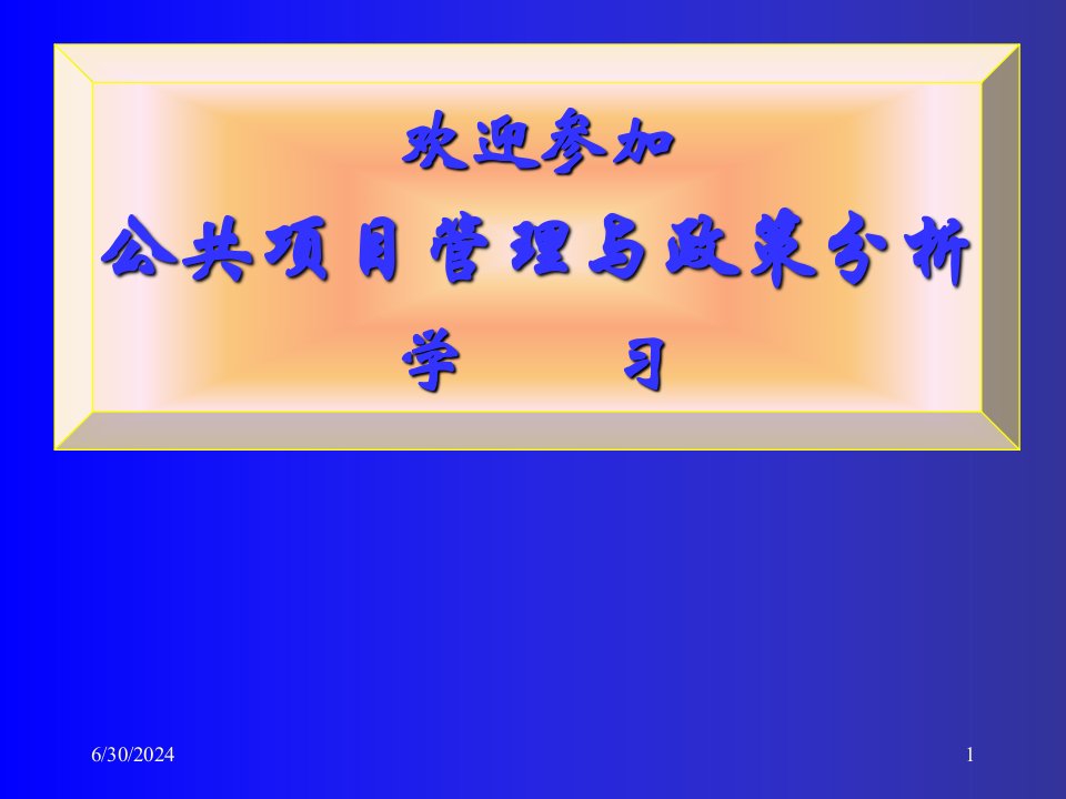 公共项目管理与政策分析