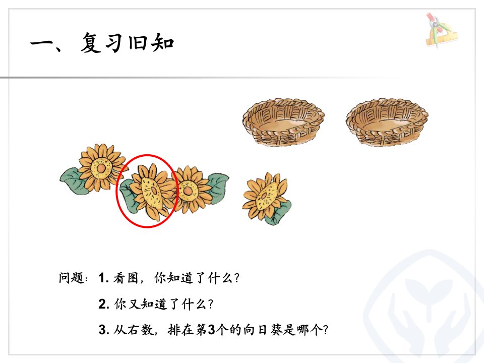 第3单元分与合小学教师设计的教学