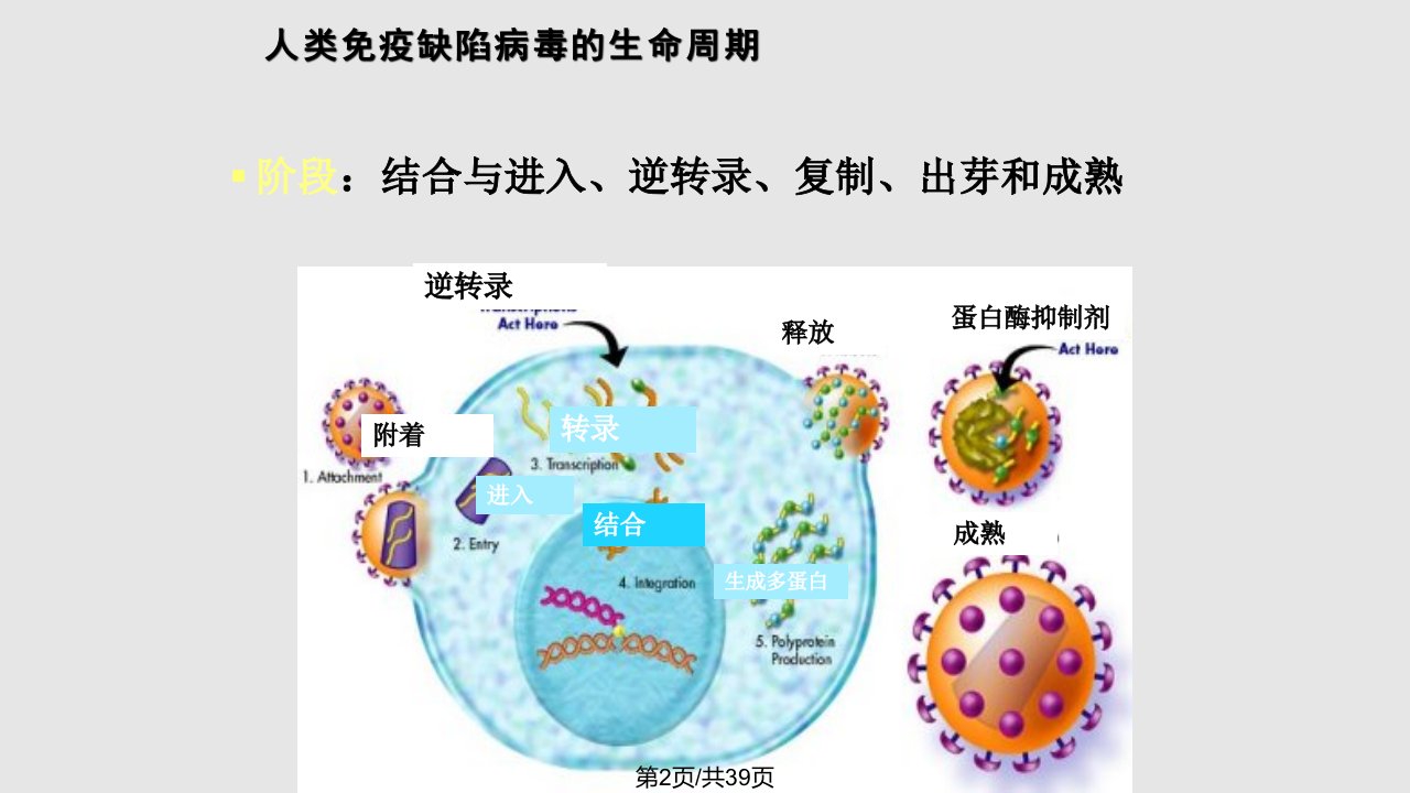 职业暴露预防和处理