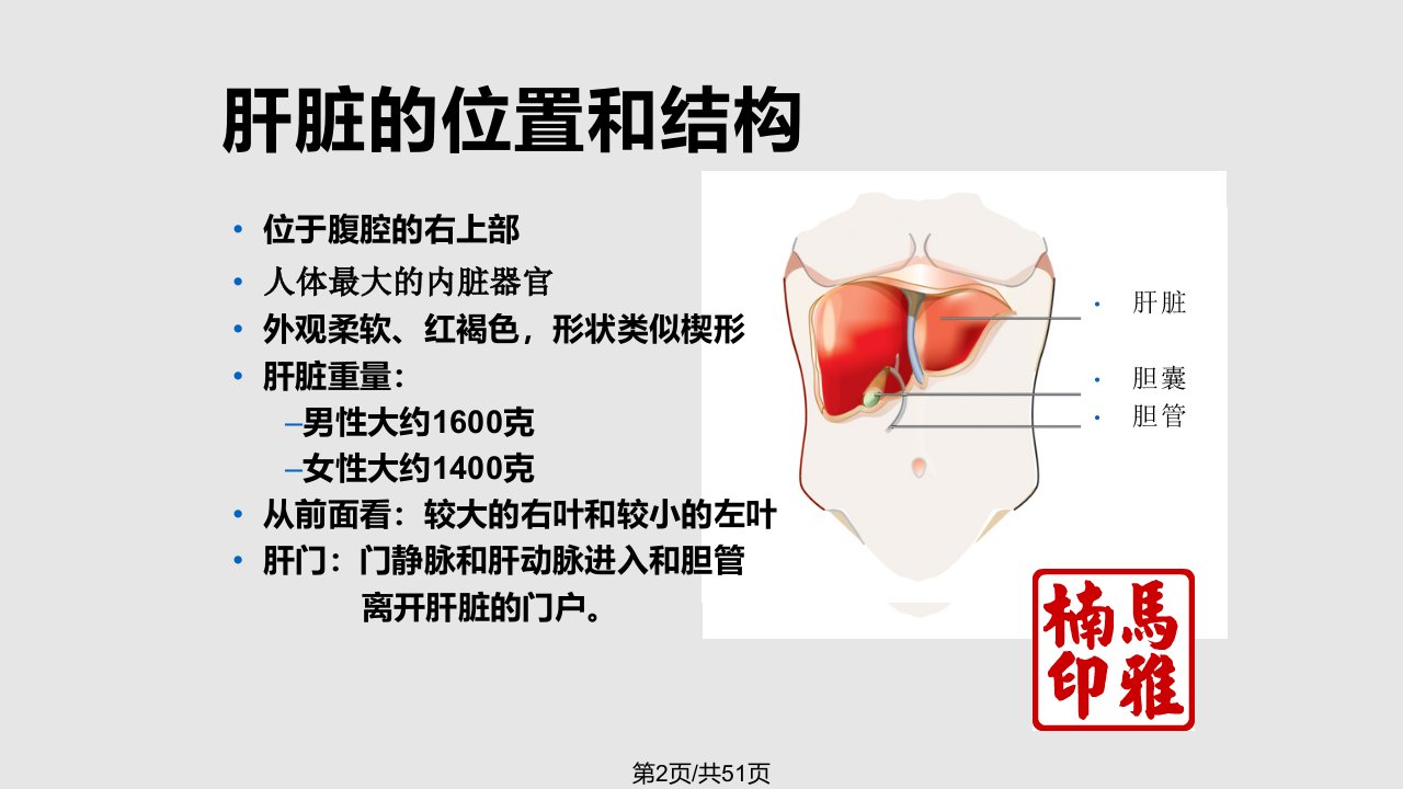 常见肝病用药指导