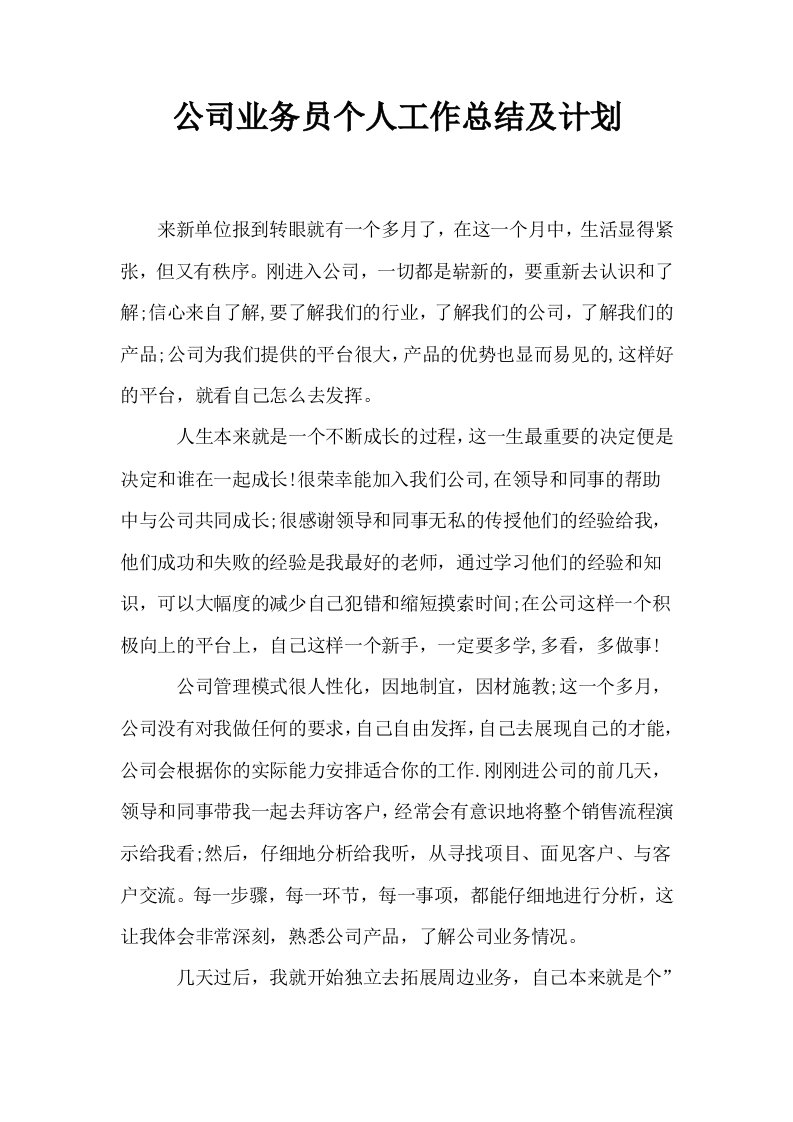 公司业务员个人工作总结及计划