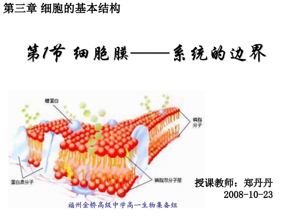 高一生物细胞膜-系统的边界1