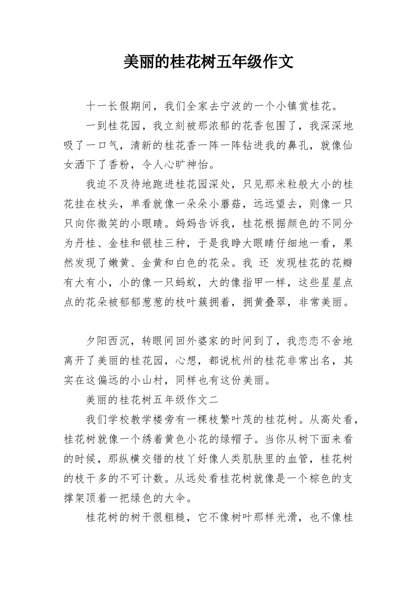 美丽的桂花树五年级作文