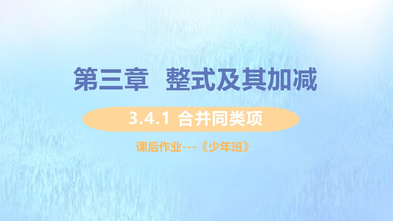 七年级数学上册第三章整式及其加减3.4整式的加减3.4.1合并同类项习题课件新版北师大版